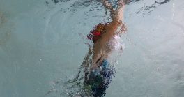 Tout sur AlberAquatic