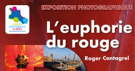 Exposition : le rouge dans tous ses éclats au siège communautaire