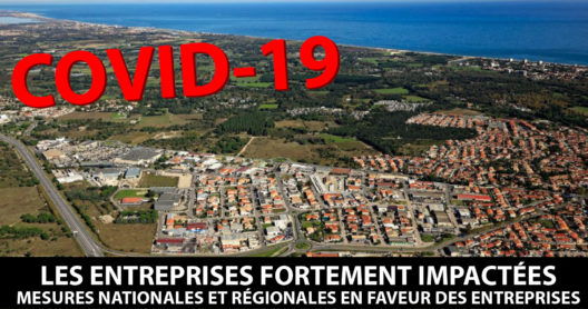 COVID-19 Mesures nationales et régionales en faveur des entreprises