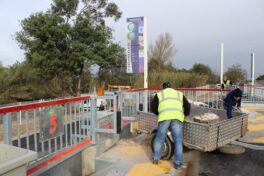 Le fonctionnement de la collecte et des déchetteries le 11 novembre