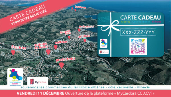 Visuel Newsletter_Plan de travail 1