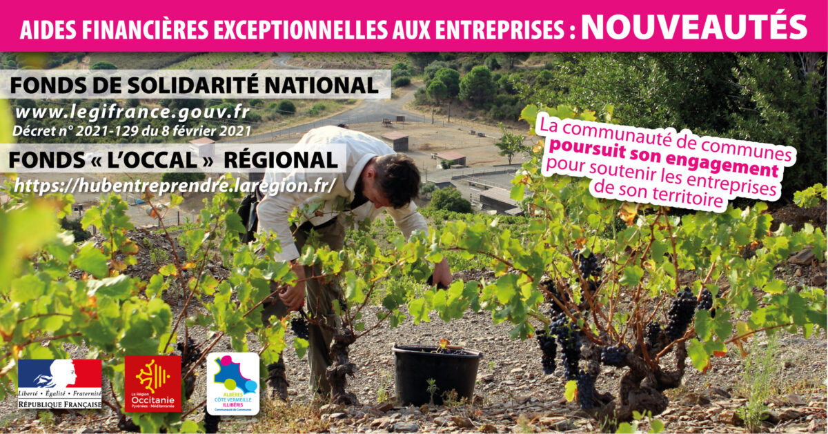 Aide aux entreprises_février 2021_site_Plan de travail 1