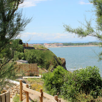 IMG_1103_carré