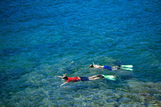 D'Argelès-sur-Mer à Cerbère, les eaux de baignade sous contrôle