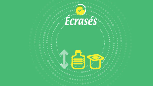 Visuel Ecrasés
