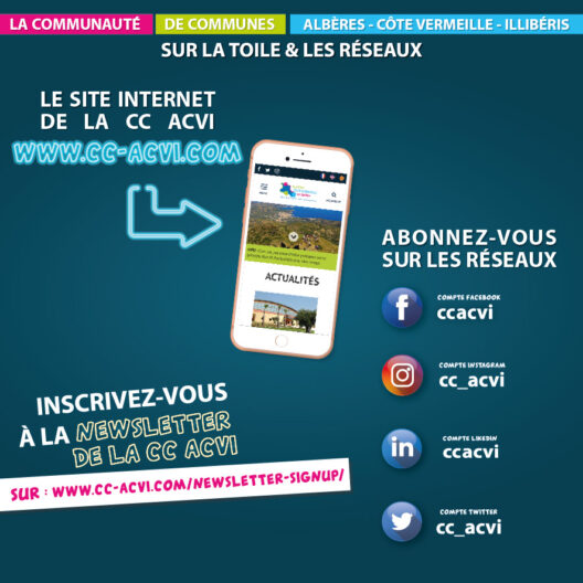 INSTA promo site_newsletter_réseaux sociaux_Plan de travail 1