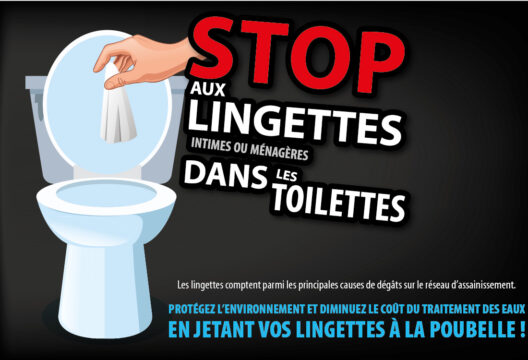 Lingettes_pour newsletter